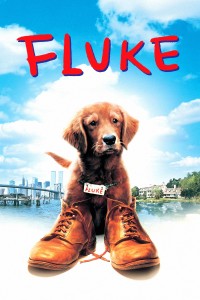 Phim Chú Chó Fluke - Fluke (1995)