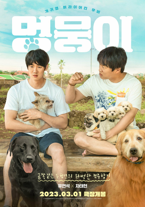 Phim Tìm Nhà Cho Boss - My Heart Puppy (2023)